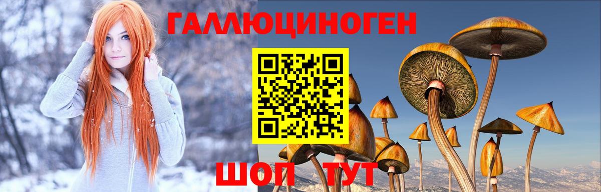 Псилоцибиновые грибы Psilocybe  Вход с VPN  Калач-на-Дону  Галлюциногенные грибы Magic Shrooms 